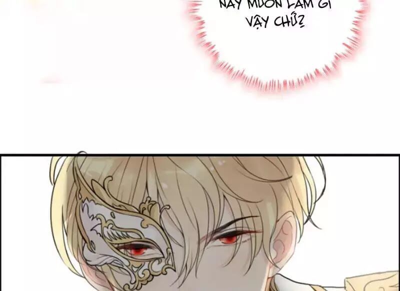 Cô Vợ Hợp Đồng Bỏ Trốn Của Tổng Giám Đốc Chapter 217.4 - 41