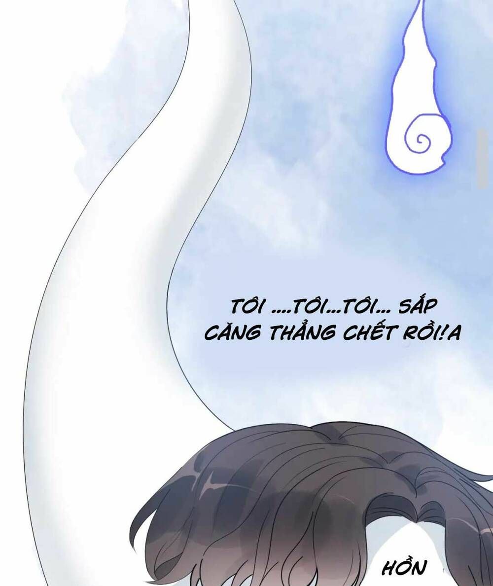Cô Vợ Hợp Đồng Bỏ Trốn Của Tổng Giám Đốc Chapter 419 - 45