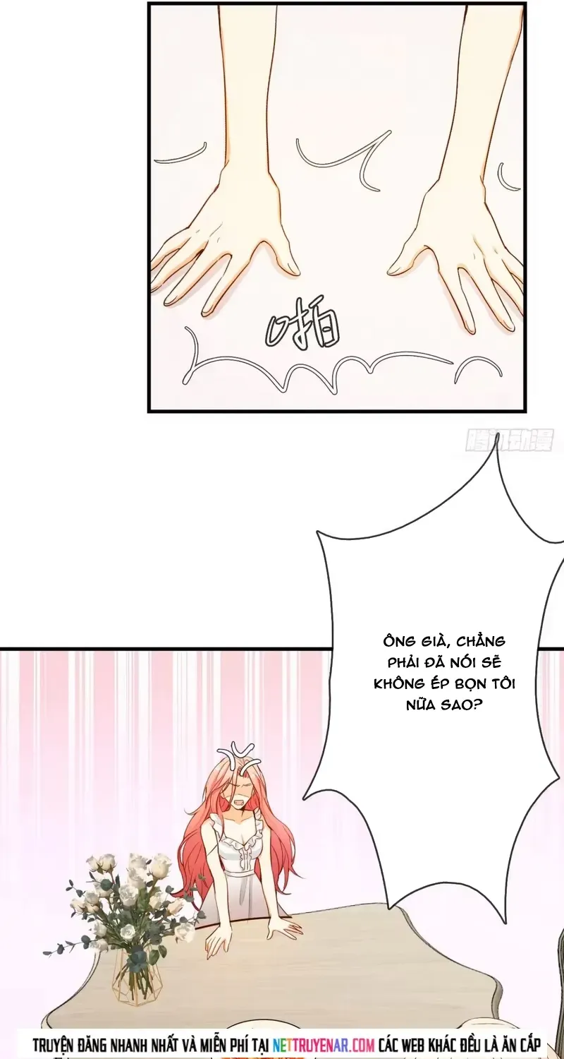 Cuộc Chiến Phía Sau Nhà Bếp Chapter 85 - 75