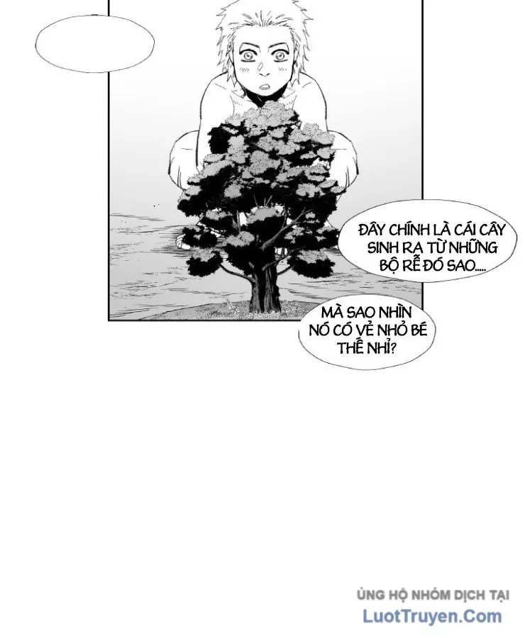 Cơn Bão Đỏ Chapter 364 - 79