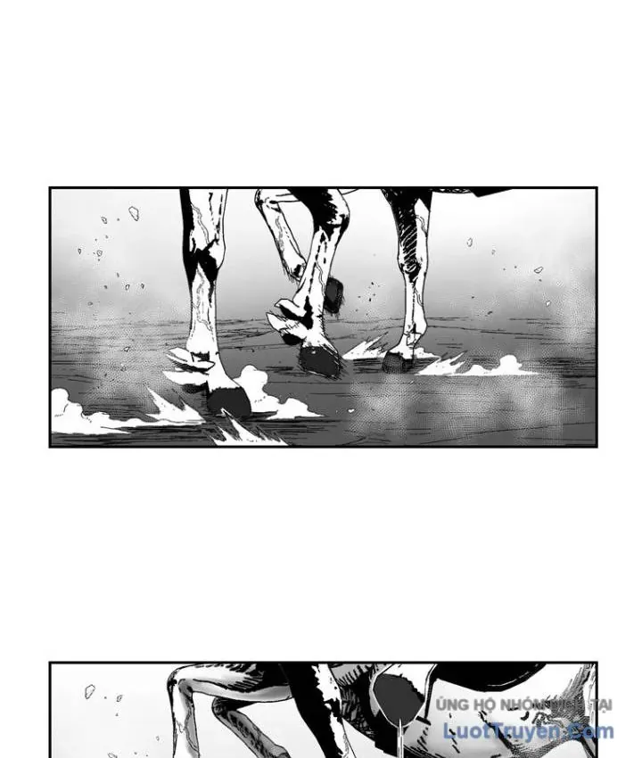 Cơn Bão Đỏ Chapter 367 - 48