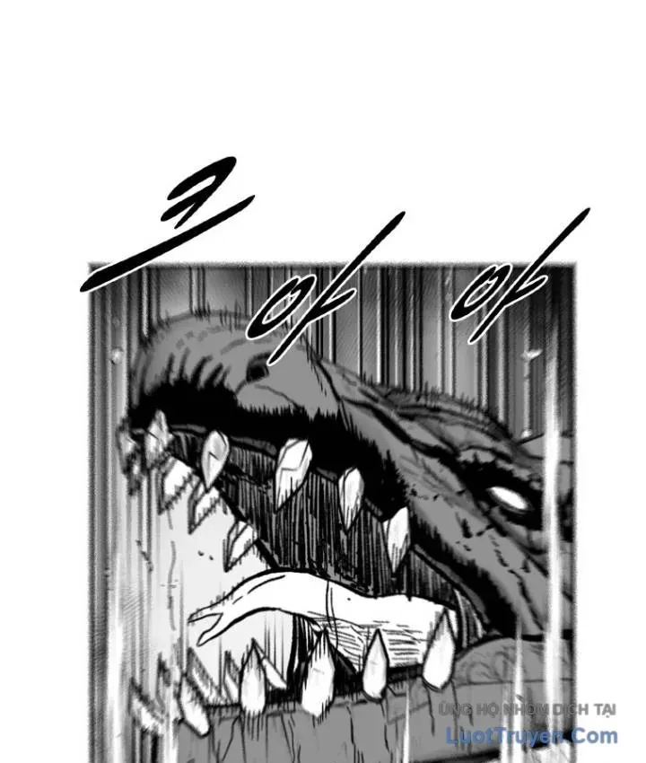 Cơn Bão Đỏ Chapter 368 - 49