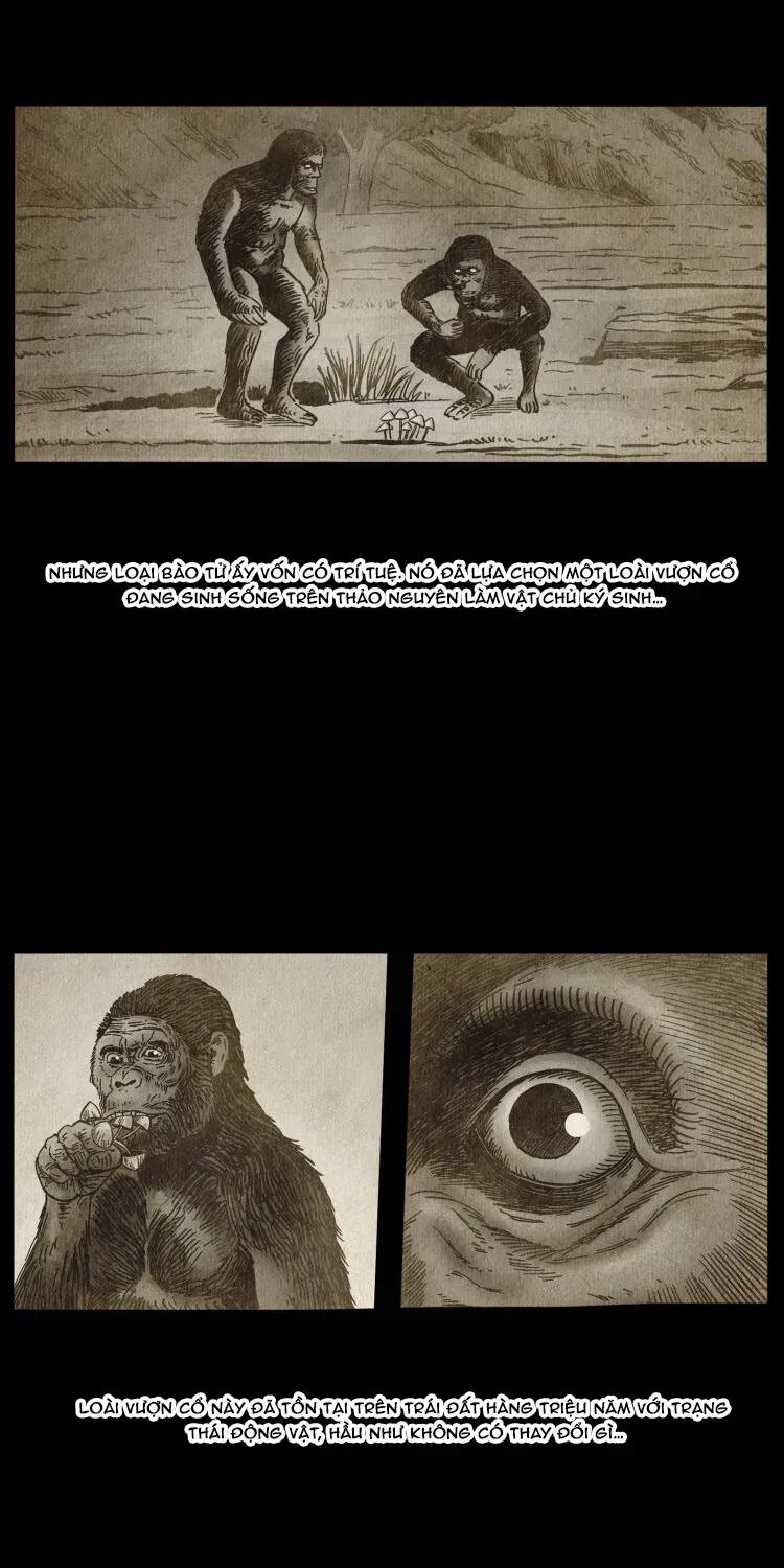 U Minh Ngụy Tượng Chapter 578 - 19