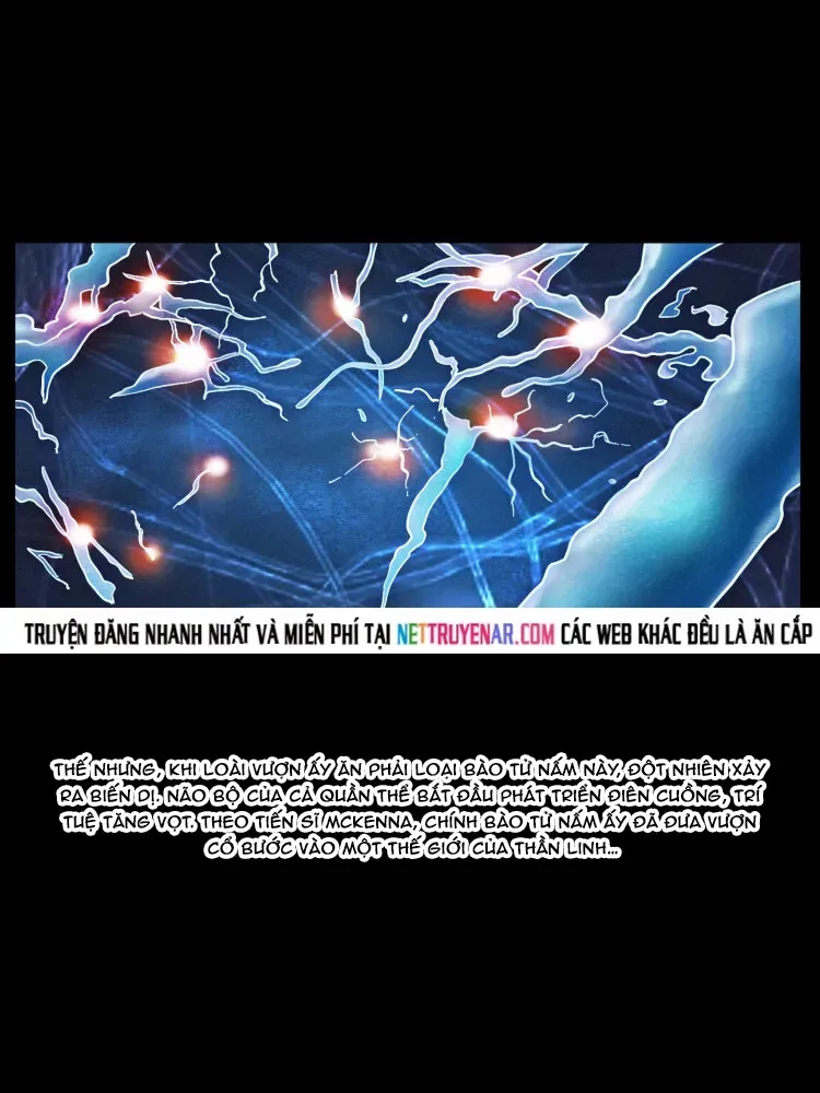 U Minh Ngụy Tượng Chapter 578 - 20