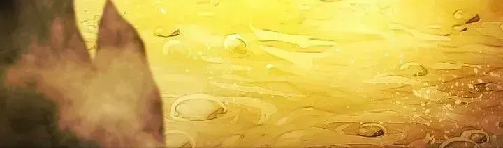 Cốt Binh Trở Lại Chapter 215.4 - 61