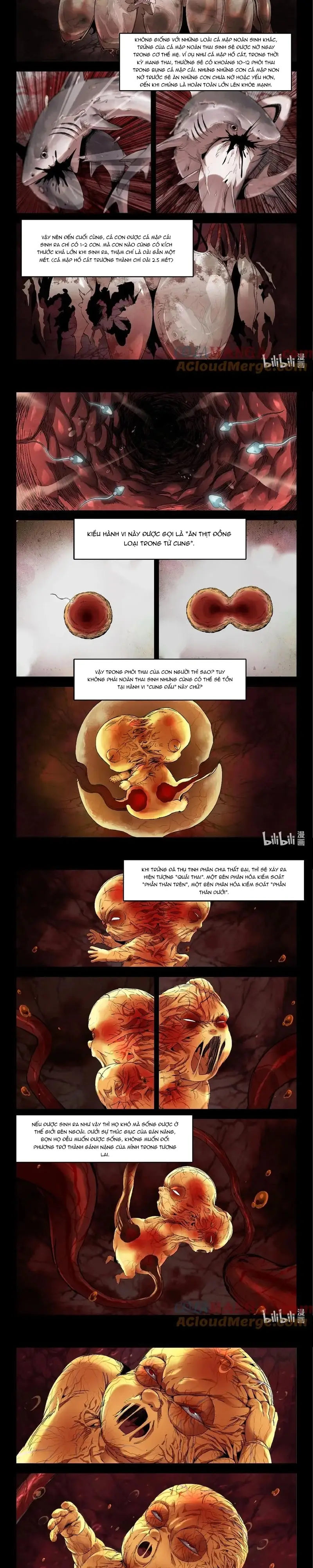 Mạnh Nhất Lịch Sử Chapter 352 - 3