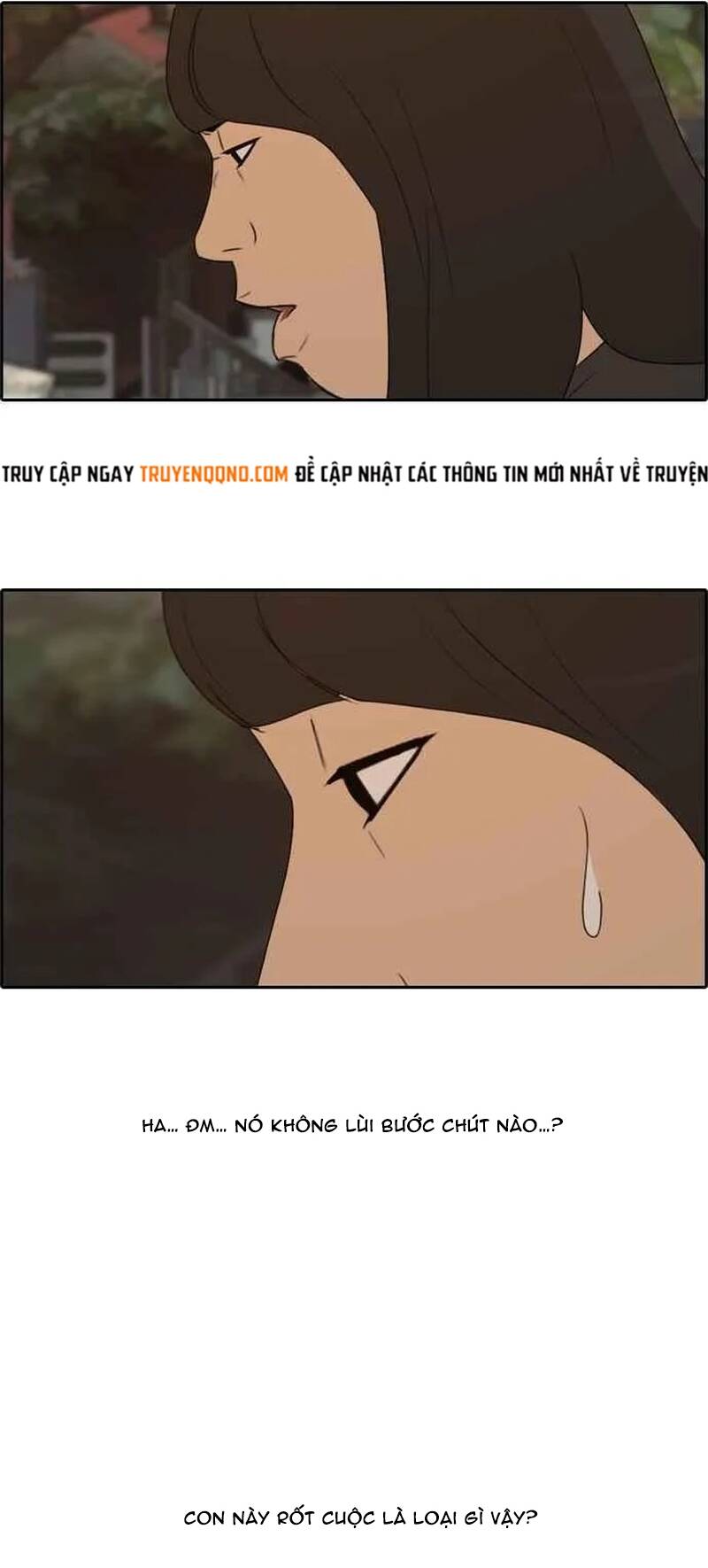 Free Draw Chapter 256 - 22