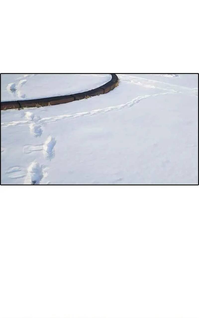 Free Draw Chapter 266 - 55