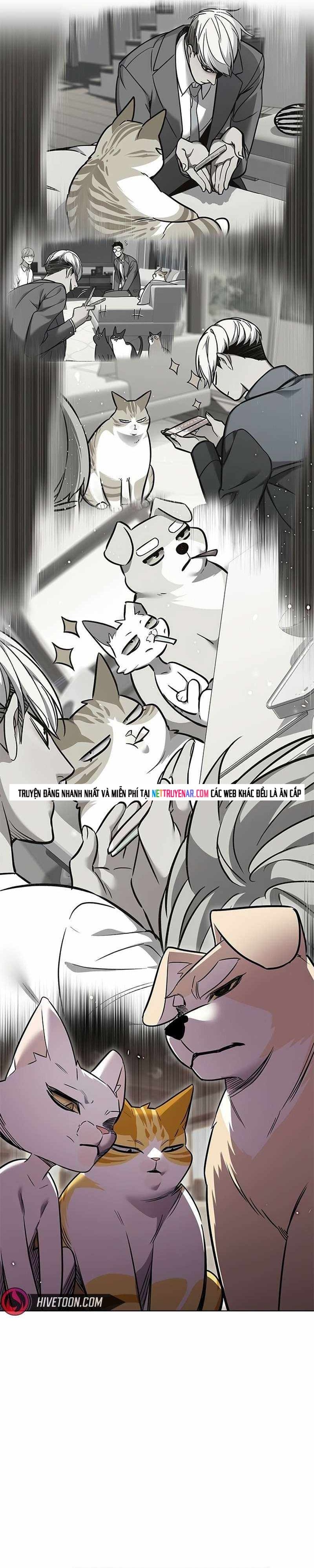 Hoá Thân Thành Mèo Chapter 391 - 37