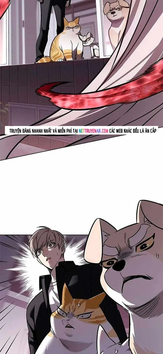 Hoá Thân Thành Mèo Chapter 393 - 80