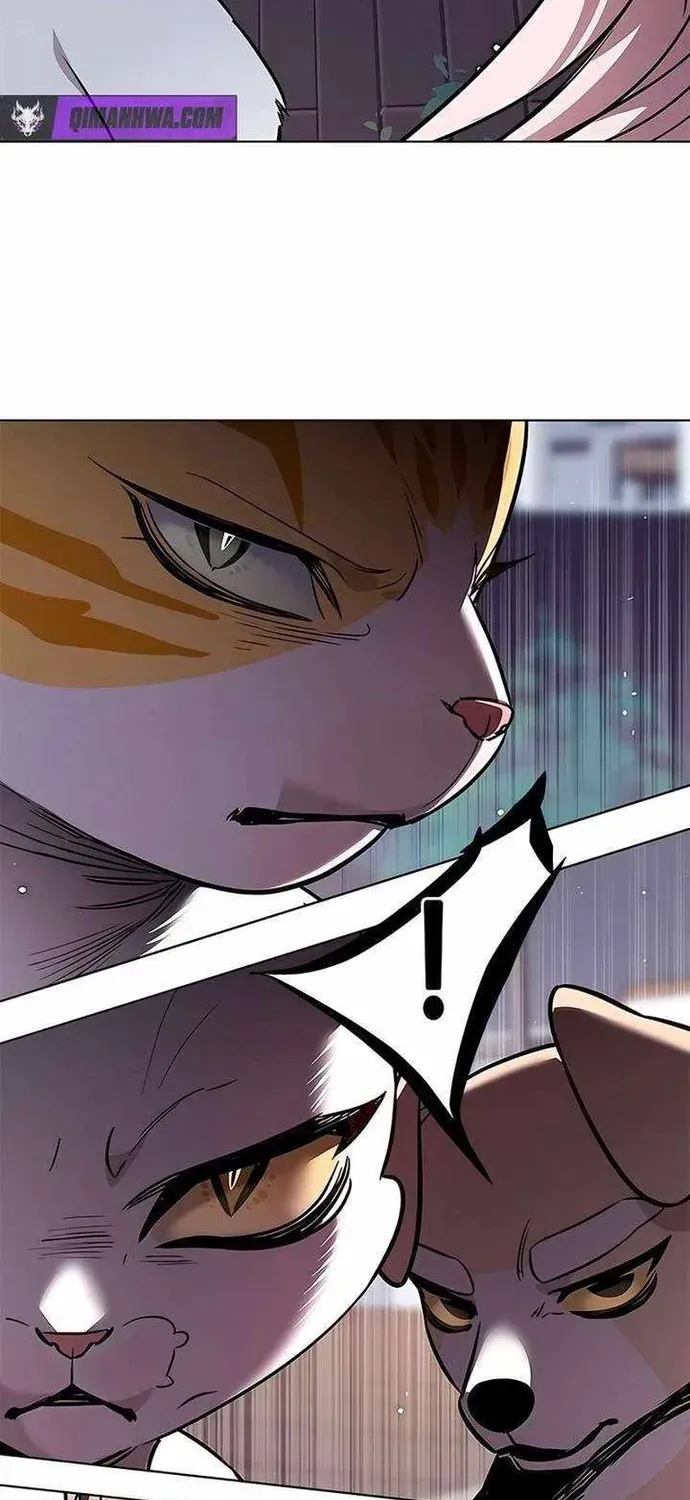 Hoá Thân Thành Mèo Chapter 393 - 93