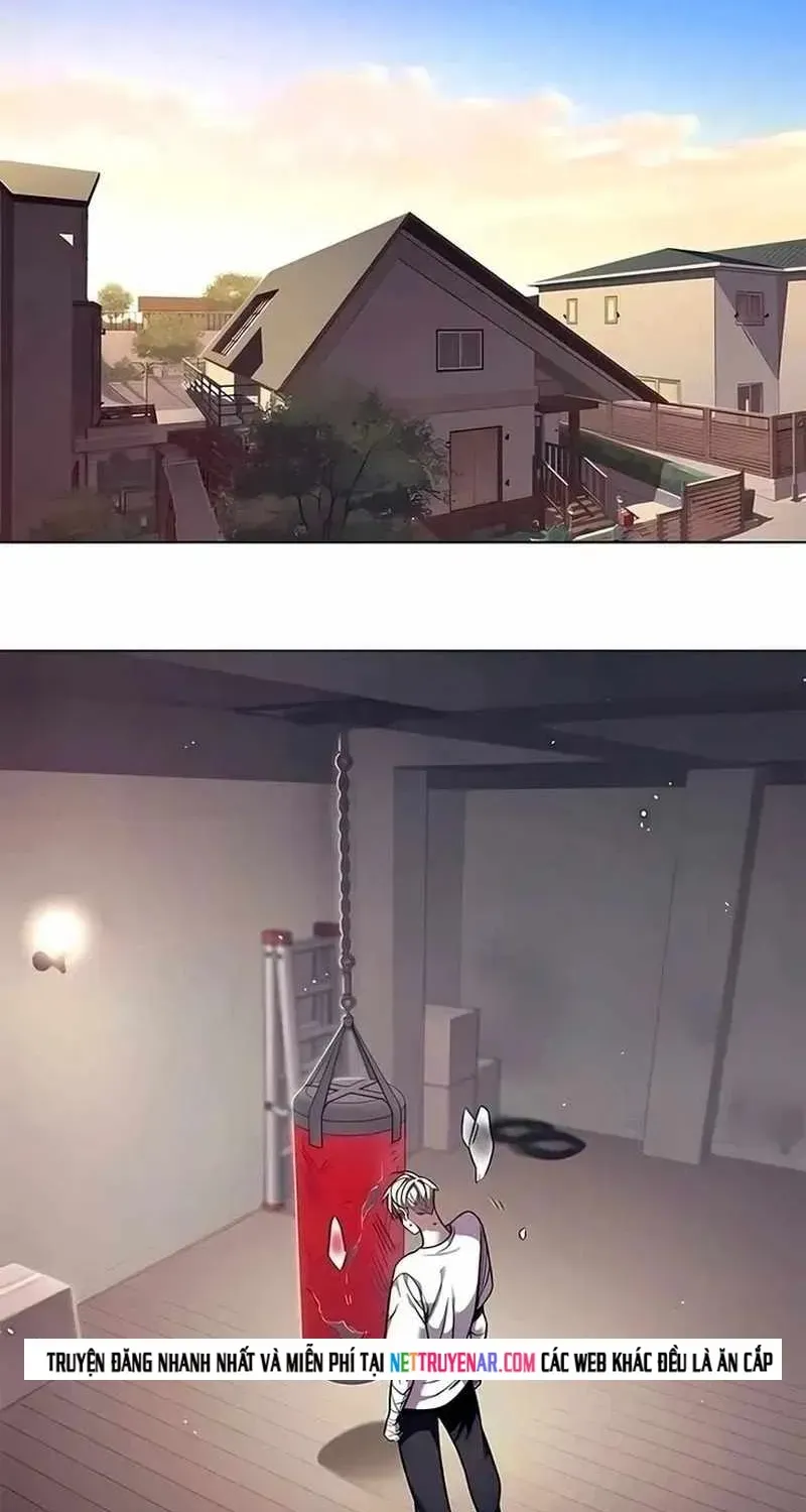 Hoá Thân Thành Mèo Chapter 394 - 106
