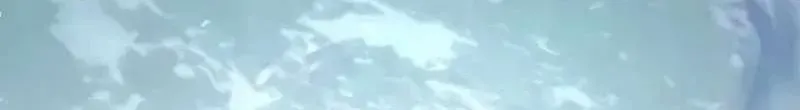 Hoá Thân Thành Mèo Chapter 394 - 50