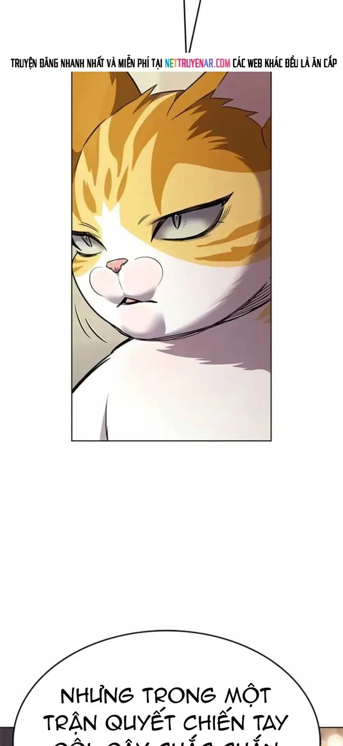 Hoá Thân Thành Mèo Chapter 396 - 55