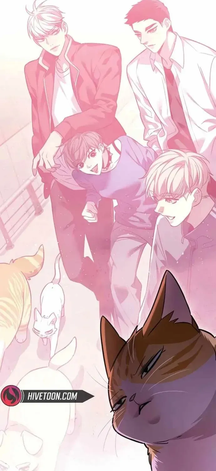 Hoá Thân Thành Mèo Chapter 396 - 7