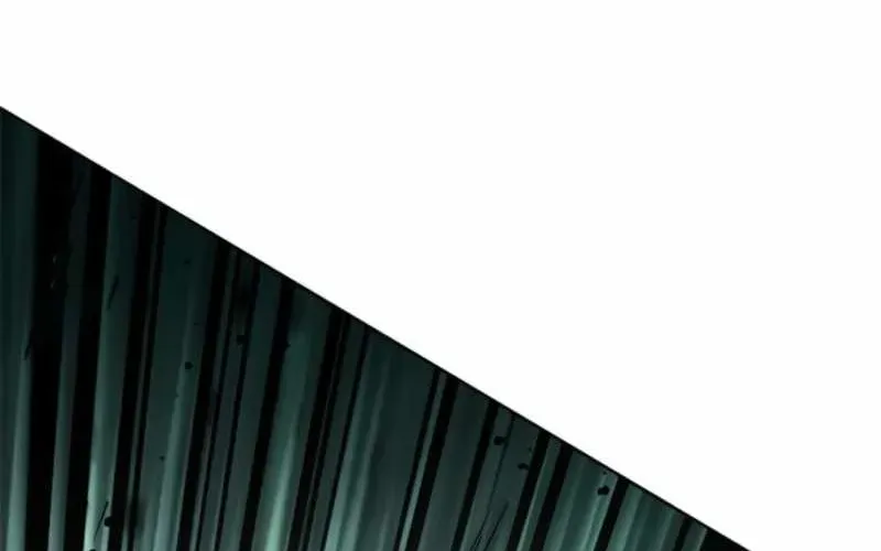 Hoá Thân Thành Mèo Chapter 398 - 164