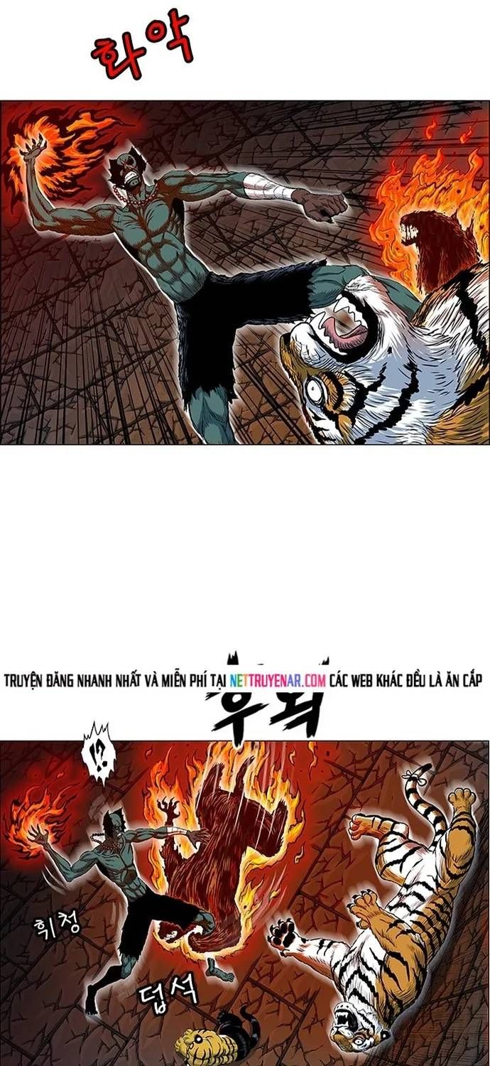 Anh Trai Tôi Là Hổ Chapter 143 - 24