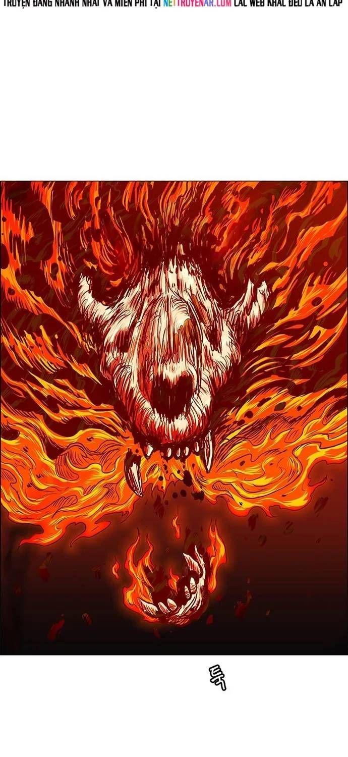 Anh Trai Tôi Là Hổ Chapter 143 - 42