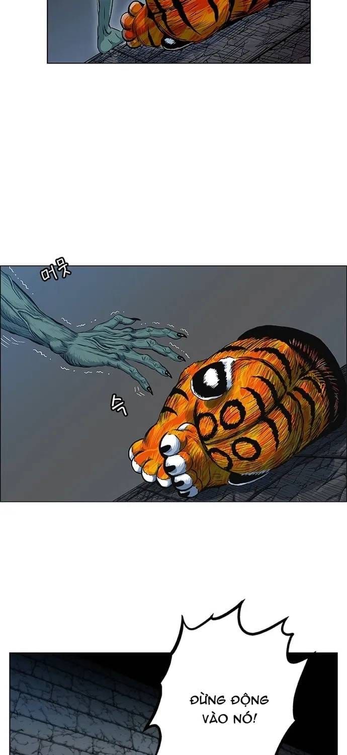 Anh Trai Tôi Là Hổ Chapter 144 - 18