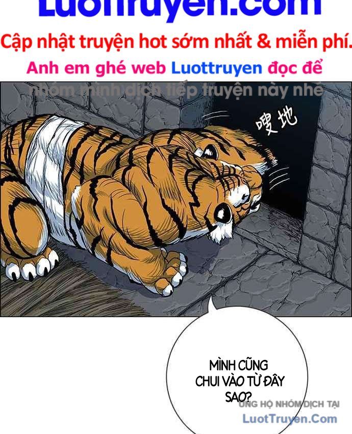 Anh Trai Tôi Là Hổ Chapter 151 - 108