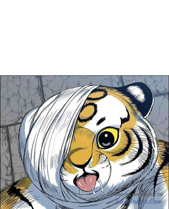 Anh Trai Tôi Là Hổ Chapter 151 - 79
