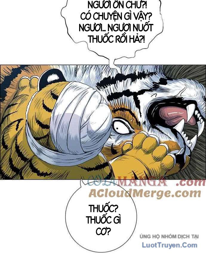 Anh Trai Tôi Là Hổ Chapter 151 - 84