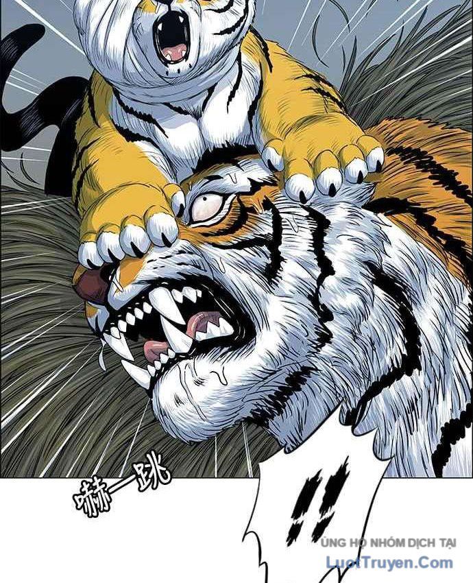 Anh Trai Tôi Là Hổ Chapter 151 - 89