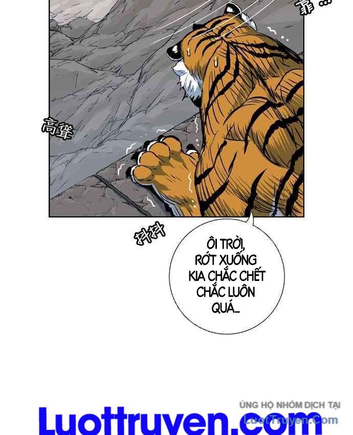 Anh Trai Tôi Là Hổ Chapter 151 - 100