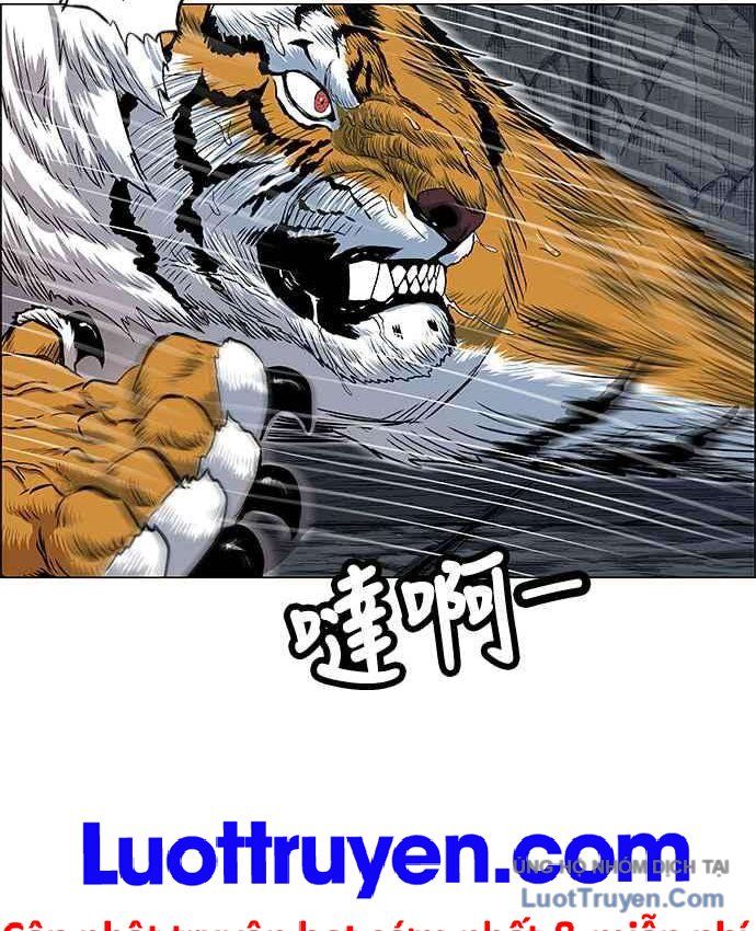 Anh Trai Tôi Là Hổ Chapter 152 - 14