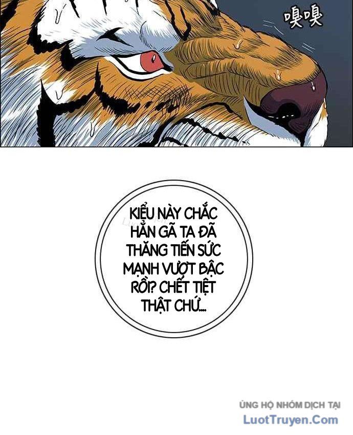 Anh Trai Tôi Là Hổ Chapter 152 - 20