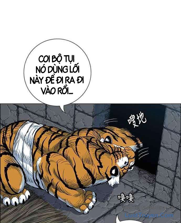 Anh Trai Tôi Là Hổ Chapter 152 - 4