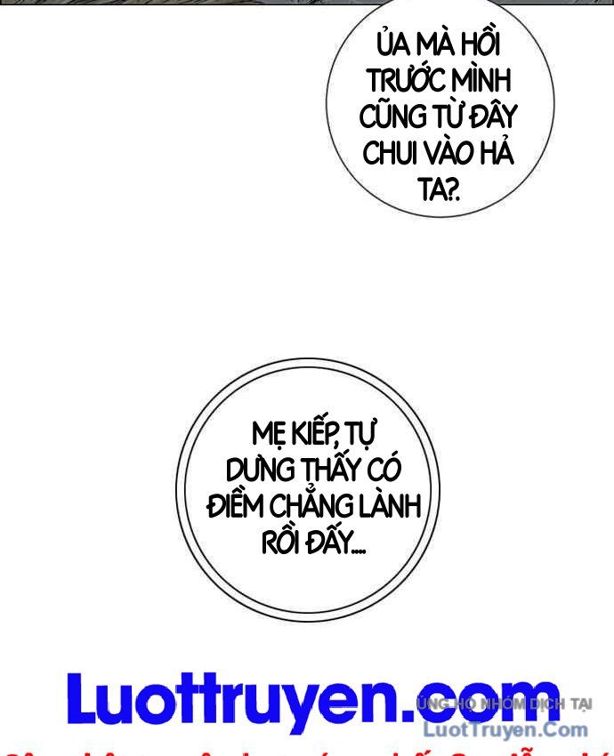Anh Trai Tôi Là Hổ Chapter 152 - 5