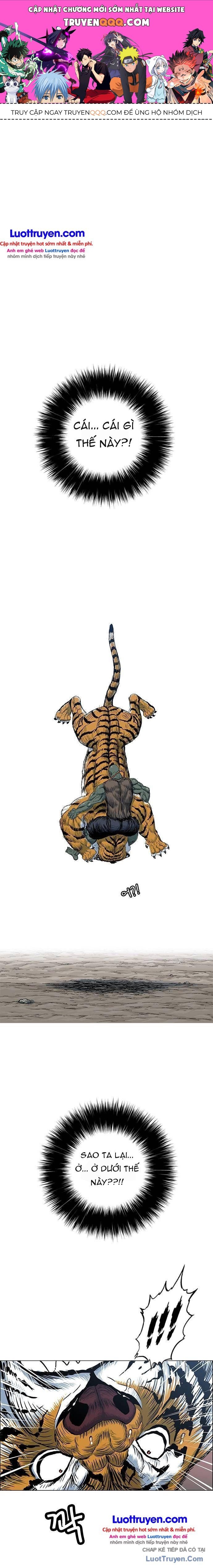 Anh Trai Tôi Là Hổ Chapter 164 - 1