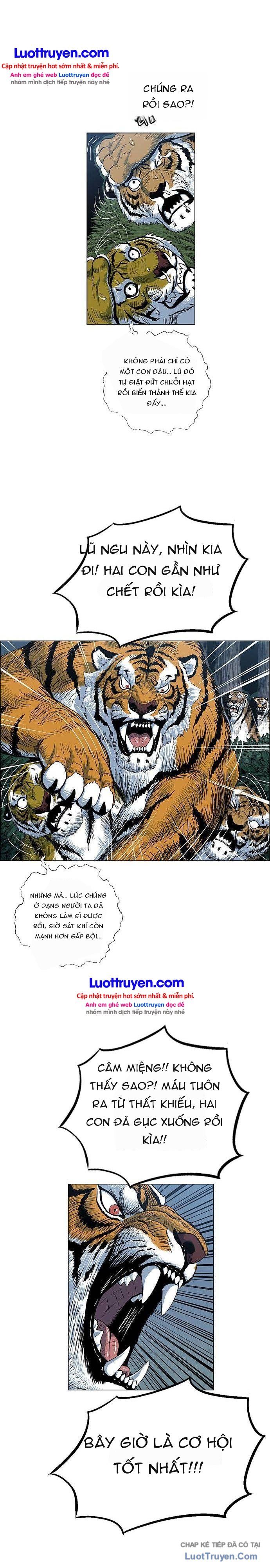 Anh Trai Tôi Là Hổ Chapter 166 - 23