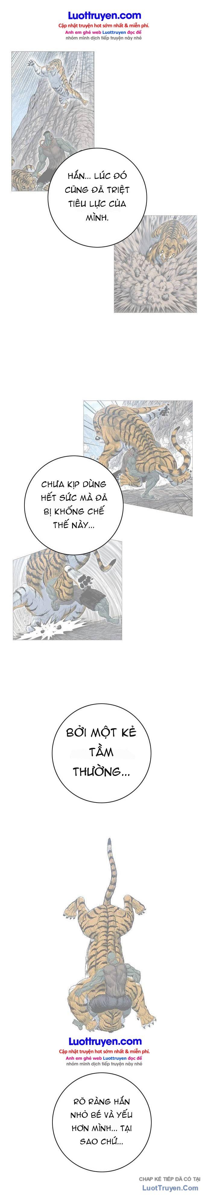 Anh Trai Tôi Là Hổ Chapter 169 - 11