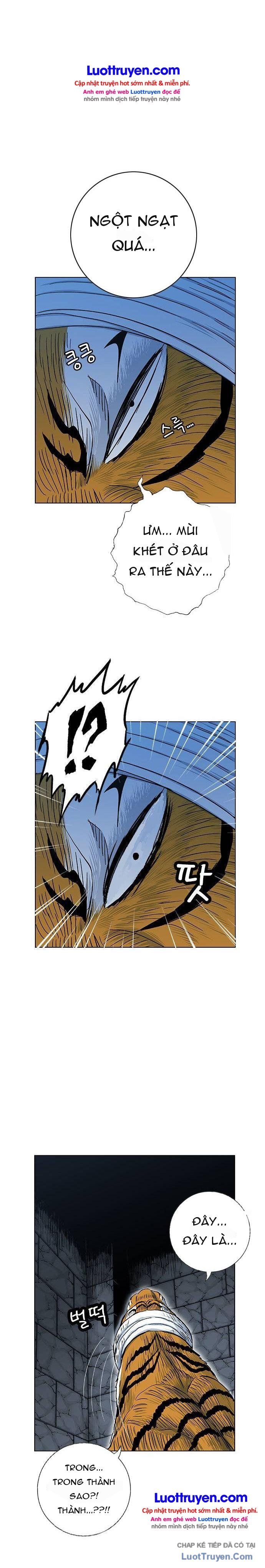 Anh Trai Tôi Là Hổ Chapter 169 - 12
