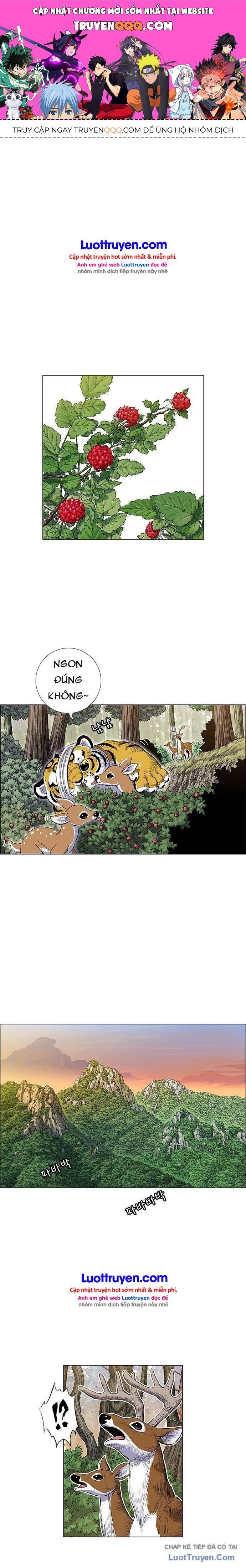 Anh Trai Tôi Là Hổ Chapter 175 - 1