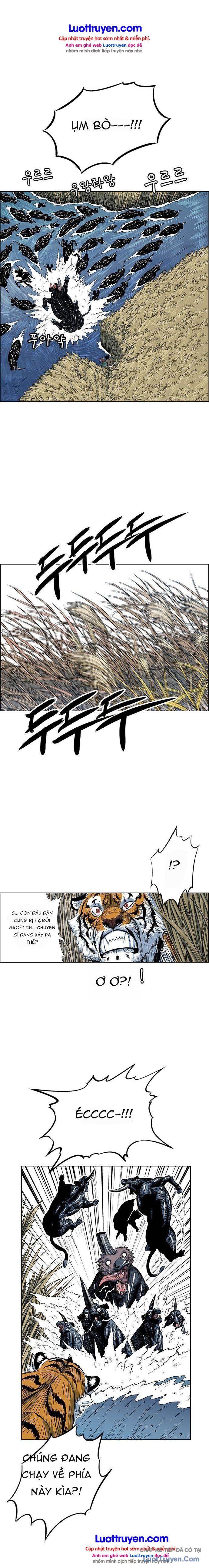 Anh Trai Tôi Là Hổ Chapter 188 - 17