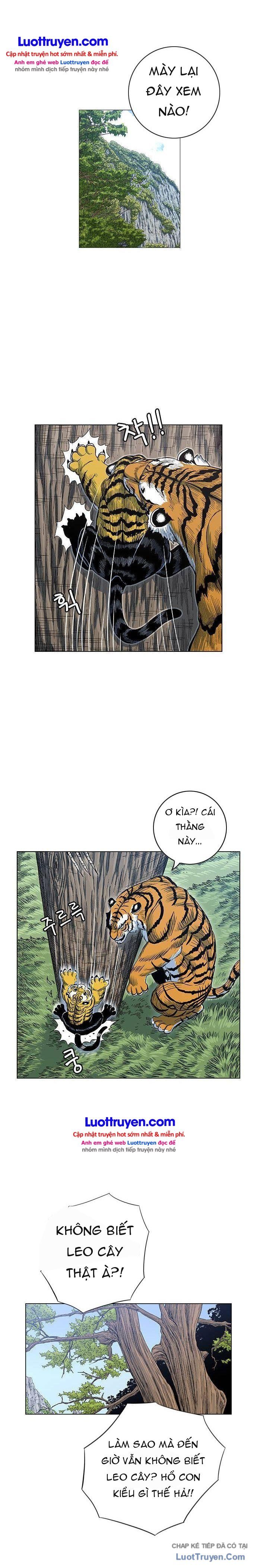 Anh Trai Tôi Là Hổ Chapter 195 - 5