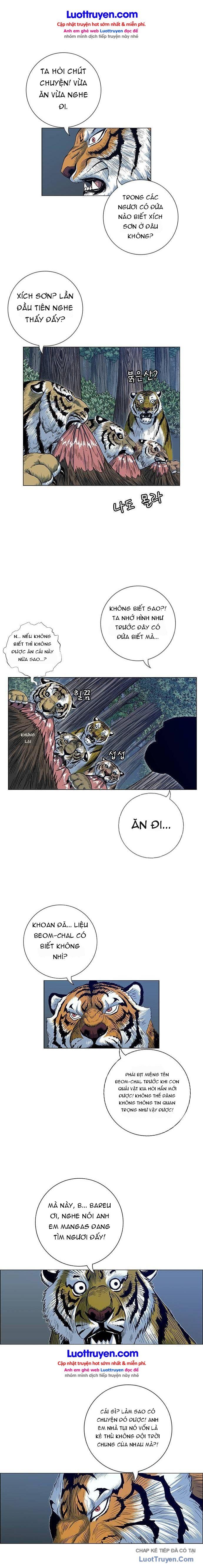 Anh Trai Tôi Là Hổ Chapter 199 - 13