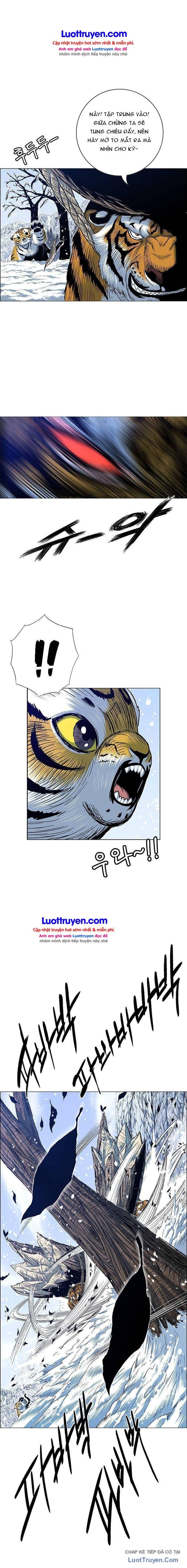 Anh Trai Tôi Là Hổ Chapter 202 - 22