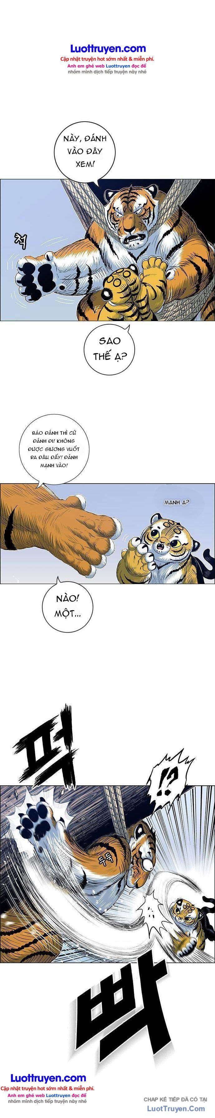 Anh Trai Tôi Là Hổ Chapter 203 - 12
