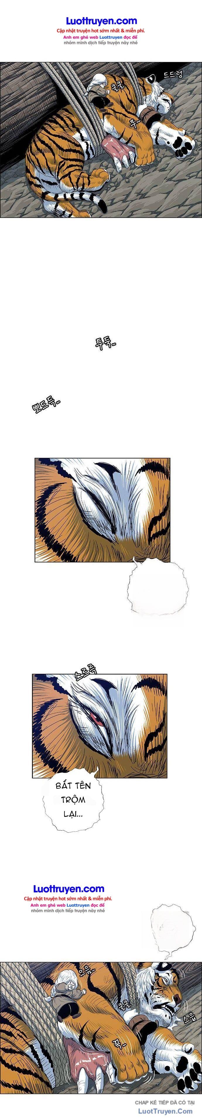 Anh Trai Tôi Là Hổ Chapter 203 - 22