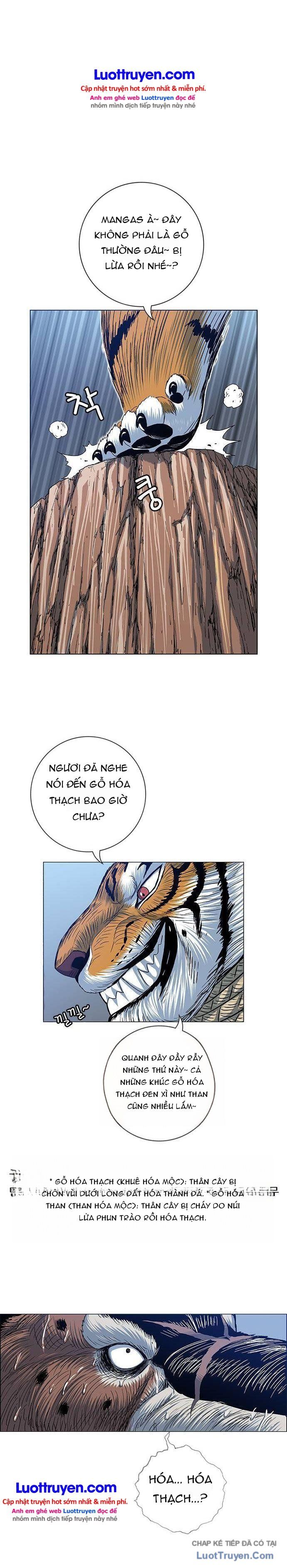 Anh Trai Tôi Là Hổ Chapter 204 - 22