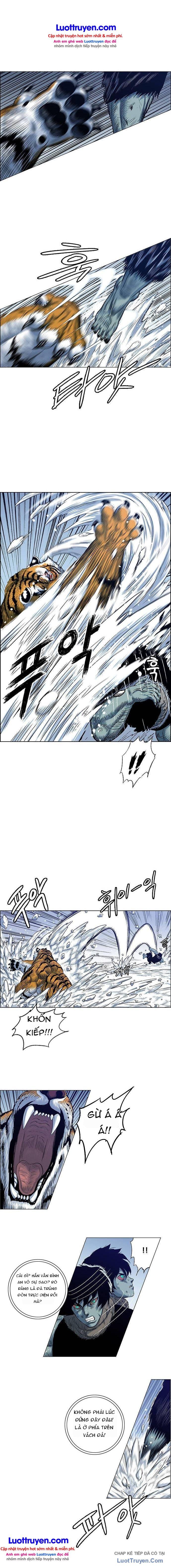 Anh Trai Tôi Là Hổ Chapter 206 - 11