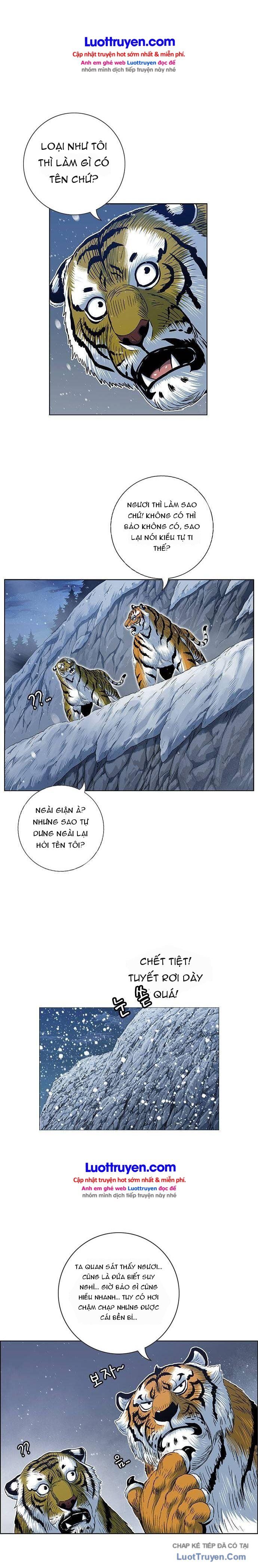 Anh Trai Tôi Là Hổ Chapter 209 - 12