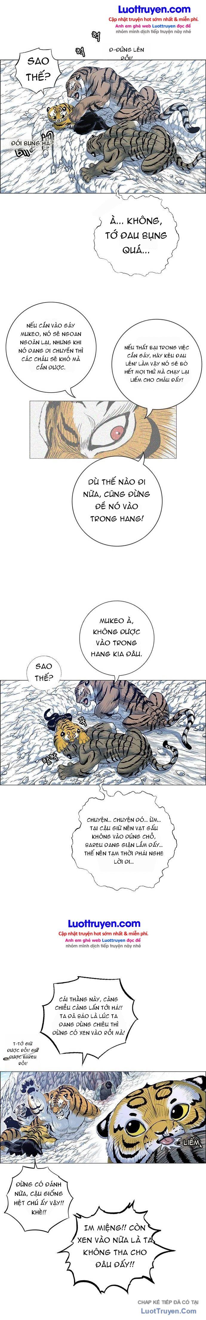 Anh Trai Tôi Là Hổ Chapter 209 - 6