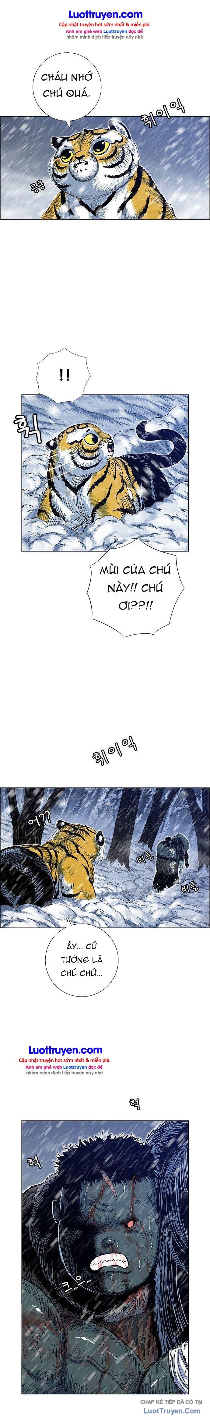 Anh Trai Tôi Là Hổ Chapter 211 - 11