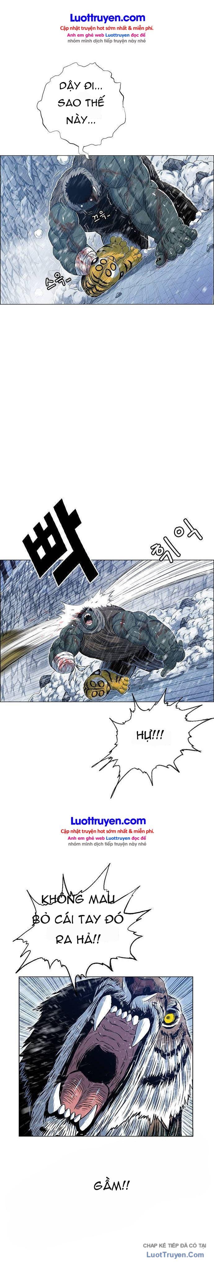 Anh Trai Tôi Là Hổ Chapter 211 - 17
