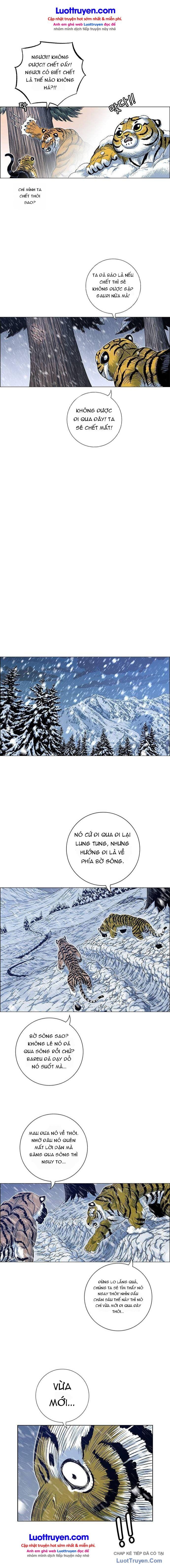 Anh Trai Tôi Là Hổ Chapter 211 - 9